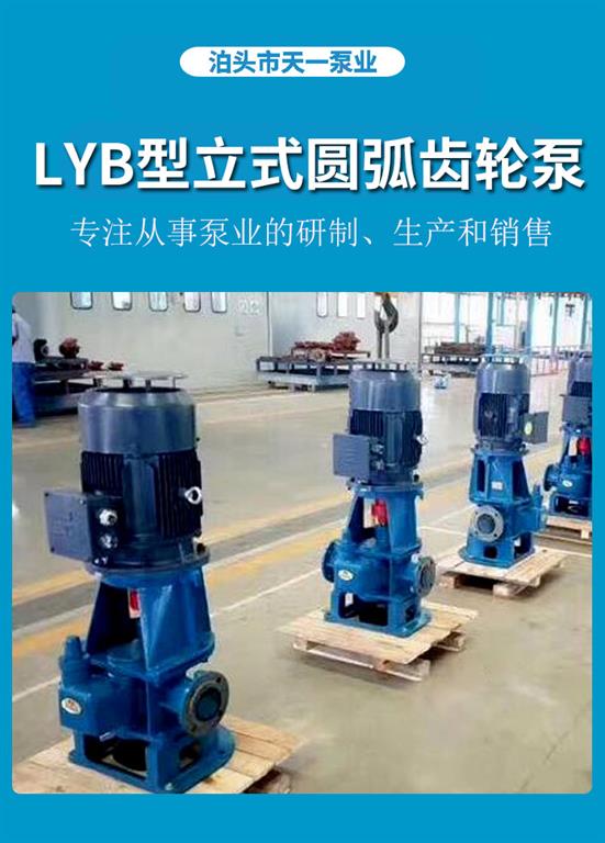 <strong>浙江LYB型立式圆弧齿轮泵</strong>