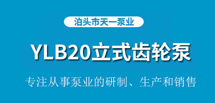 <strong>浙江YLB20立式齿轮泵</strong>