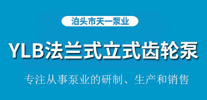 YLB60/1.6法兰式立式齿轮泵