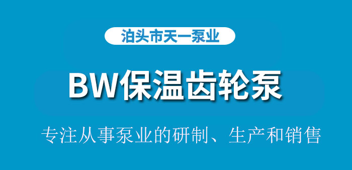 <strong>浙江BW保温齿轮泵</strong>