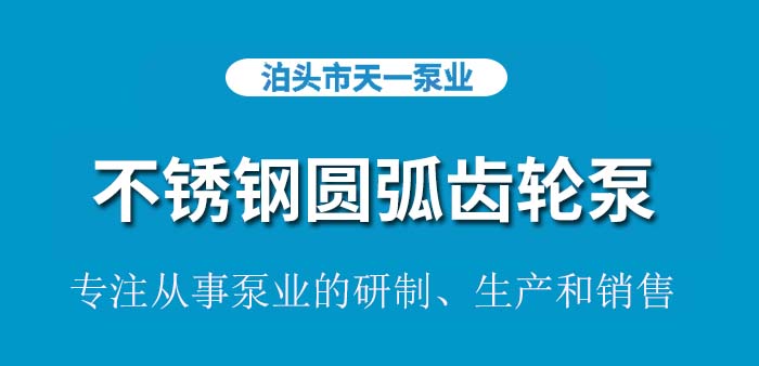 不锈钢圆弧齿轮泵
