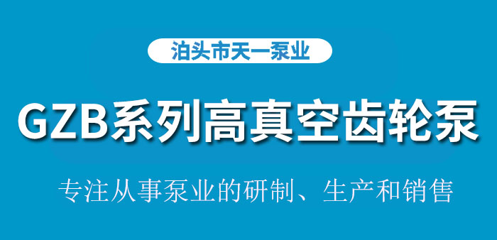 <strong>浙江GZB系列高真空齿轮泵</strong>