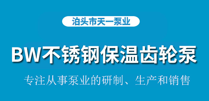 <strong>浙江BW不锈钢保温齿轮泵</strong>