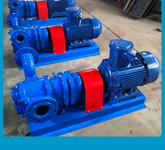 浙江不锈钢转子泵
