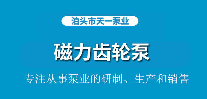 <strong>浙江磁力齿轮泵</strong>