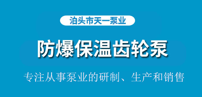 <strong>浙江防爆保温齿轮泵</strong>