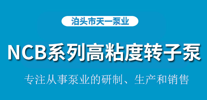 <strong>浙江NCB系列高粘度转子泵</strong>