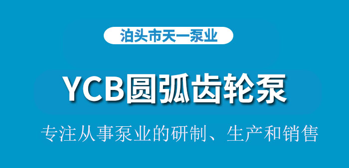  <strong>浙江YCB圆弧齿轮泵</strong>