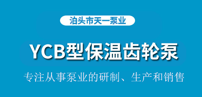 <strong>浙江YCB型保温齿轮泵</strong>