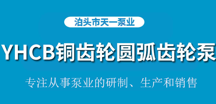 <strong>浙江YHCB100铜齿轮圆弧齿轮泵</strong>