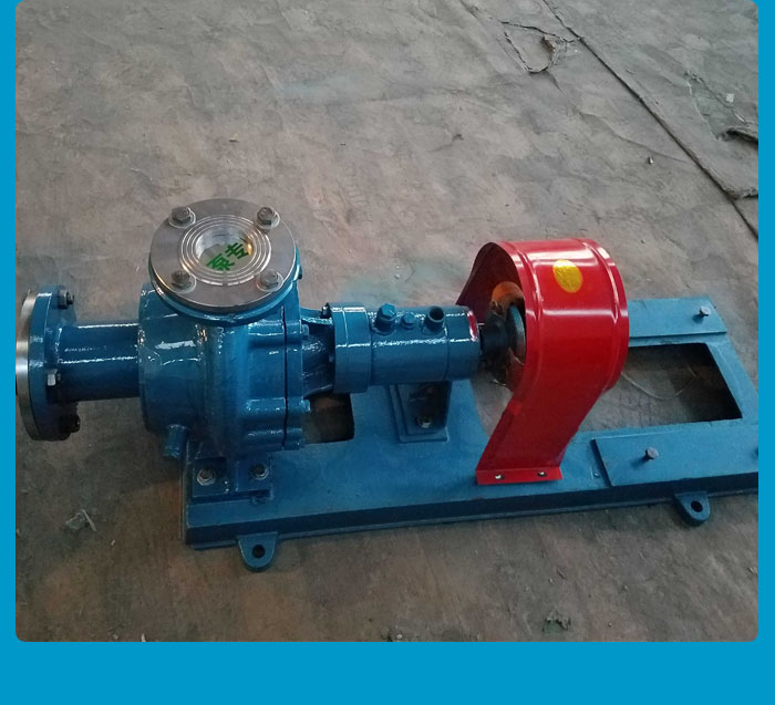 浙江RY导热油泵