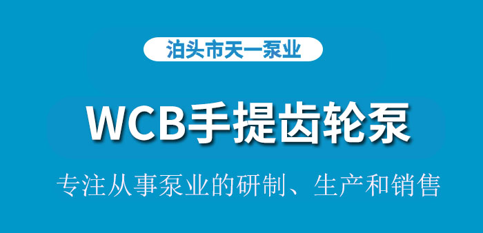 <strong>浙江WCB手提齿轮泵</strong>