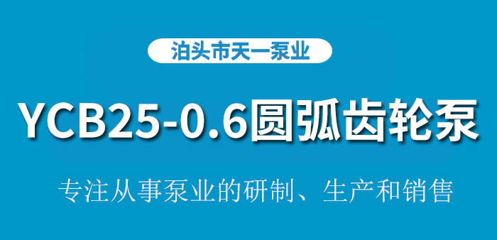 浙江YCB25-0.6圆弧齿轮泵