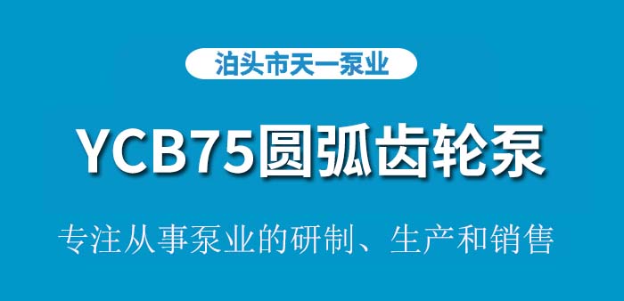 <strong>浙江YCB75圆弧齿轮泵</strong>