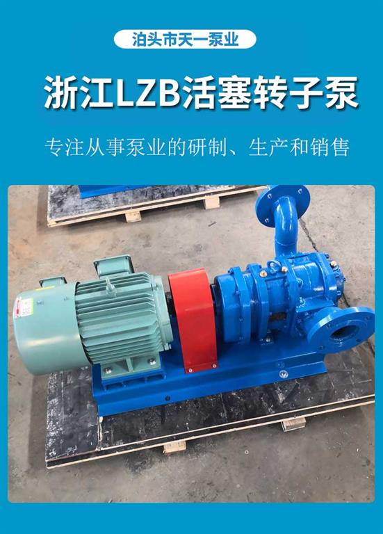 <strong>浙江LZB活塞转子泵</strong>