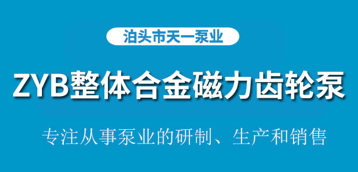 ZYB整体合金磁力齿轮泵